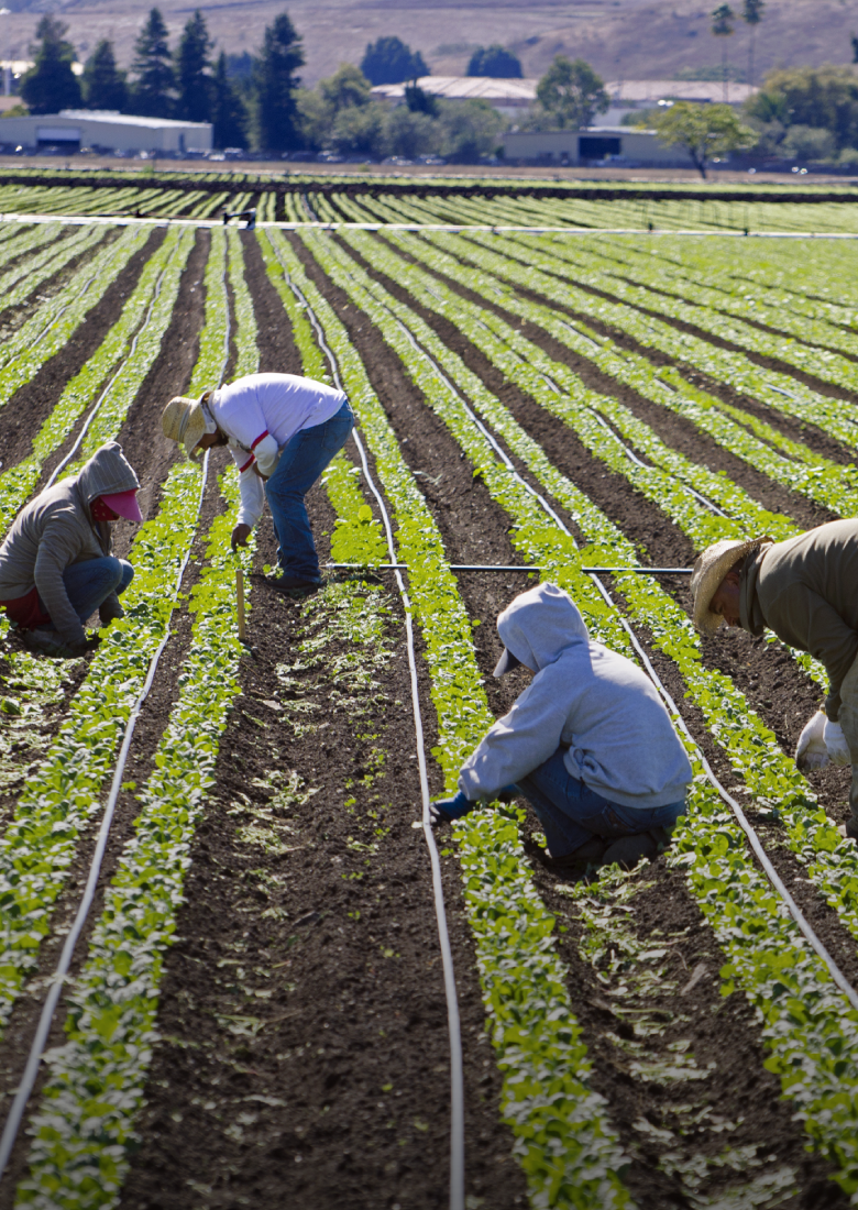 agricole-humans-interim